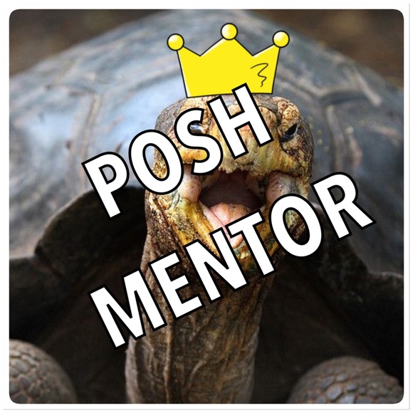 POSHMARK STATS - Picture 3 of 5